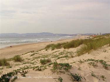 Costa da Almarica, Portugal 2009, DSC01159b_B740